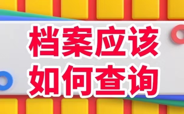 档案应该如何查询